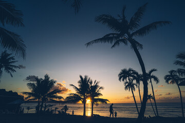 Fototapeta na wymiar Silhouette of palm trees at beautiful sunset. 