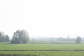 Misty Dutch polder landscape in Holland