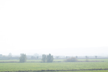 Misty Dutch polder landscape in Holland