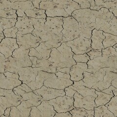 Dry Cracked Soil Seamless Texture