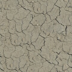 Dry Cracked Soil Seamless Texture