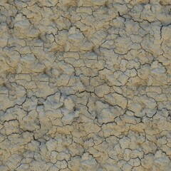 Dry Cracked Soil Seamless Texture