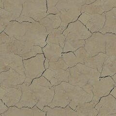 Dry Cracked Soil Seamless Texture