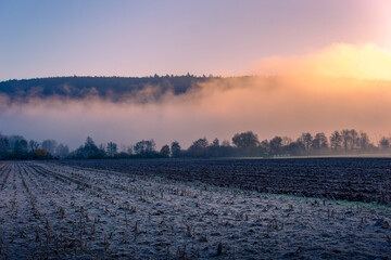 Naklejka premium Farming in Winter