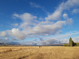 Fields, Sky, Clouds, Village.