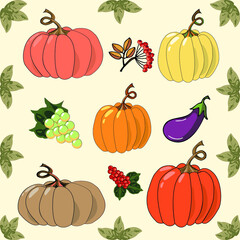 Pumpkin of various colors. Thanksgiving and Halloween Elements with vegetables Hand Drawn