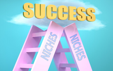 Niches ladder that leads to success high in the sky, to symbolize that Niches is a very important factor in reaching success in life and business., 3d illustration