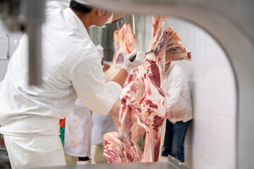 Meat industry, butcher cut raw meats hanging in the cold store. Cattles cut and hanged on hook in slaughterhouse, Wagyu Beef