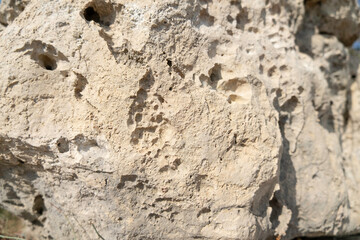 Background of limestone rock with holes close up  
