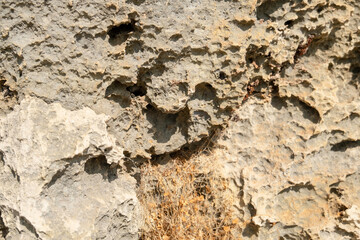 Texture of limestone rock and dried grass on the rock