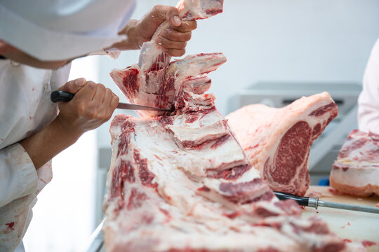 Close up butcher working separate the bone from the meat with a knife at table in the slaughterhouse, Wagyu Beef, Meat industry,
