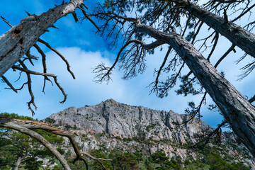 The Ports Natural Park, Terres de l'Ebre, Tarragona, Catalunya, Spain