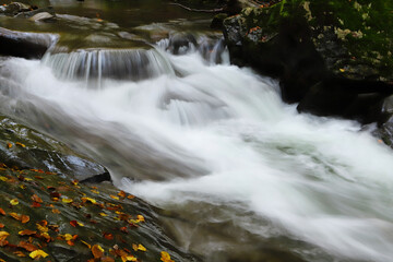 Fototapeta na wymiar Waterfall in the autumn beech forest.