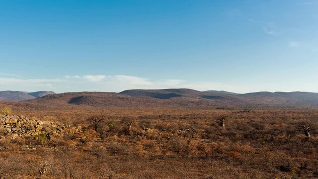 Slow linear timelapse of dry African landscape with scattered Baobabs, rocky hills and distant mountains against blue sky with scattered clouds sun sets, dip to black, Nwanedi, Limpopo, South Africa.