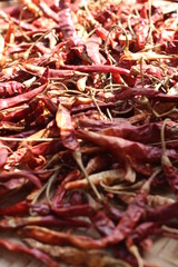 dried red chili peppers