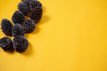 pine cones on a yellow background.