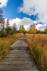 Autumn in the Harz mountains