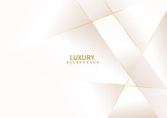 Abstract white background with golden line luxury.