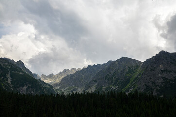 Low clouds green spruce trees and rocky mountains. High Tatras in cloudy foggy day. Path between Popradske Pleso and Strbske Pleso, Slovakia