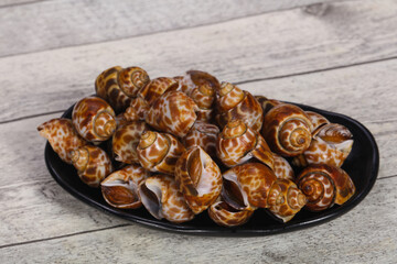 Tasty mollusk - spotted Babylon in the bowl
