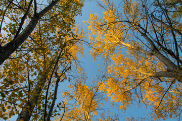 Fototapeta premium Autumnal walk along the Buñol river as it passes through Alborache (Valencia-Spain)