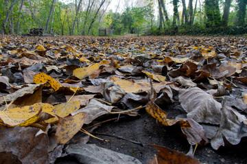 Autumnal walk along the Buñol river as it passes through Alborache (Valencia-Spain)