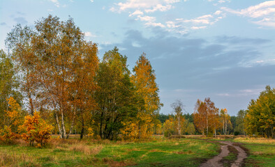 Fototapeta premium A scenic road that runs through meadows and along the forest. Countryside. Hiking.