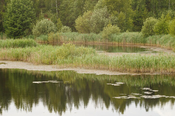 Little lake  in Noginsk area, Moscow region, Russia