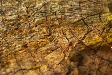 yellow abstract background with fire and wood texture