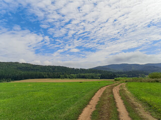 Fototapeta na wymiar Long double pathway between green and yellow fields near mountains