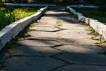An alley and path among green vegetation, grass and trees with shrubs and part of the road ennobled and fenced with flowers for walking and running in parks and forests in nature in the fresh air