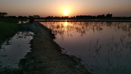 sunset over the river; sunset view