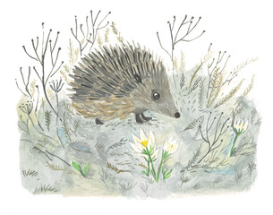Beautiful hand painted illustration with adorable cute hedgehog in watercolor technique. Beautiful card. © Yana Protsenko