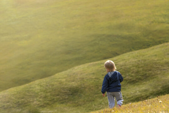 Blonde baby boy walks in the summer meadow. Place for text.