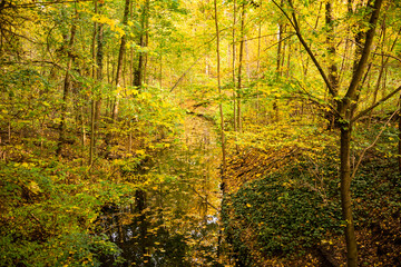 Fototapeta na wymiar Bunte Bäume und Fluss im Herbstwald, Hintergrund