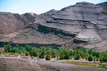 Palm tree oasis in desert terrain and mountains with tectonic foliage in the background. High Atlas. Morocco.