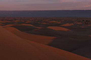 Huge desert dunes of Erg Chigaga, at the gates of the Sahara, al amanecer. Morocco. Concept of travel and adventure.