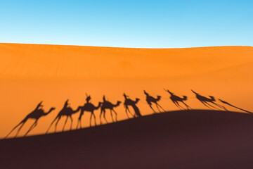 Daytime wide angle shoot of camel caravan silhouettes in desert dunes of Erg Chigaga, at the gates of the Sahara. Morocco. Concept of travel and adventure.