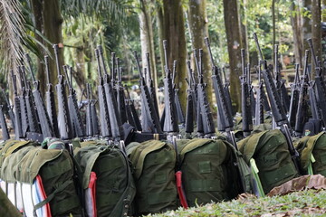 Rifles and rucksack bags of infantry are gathered on the ground while they have a break in the forest.