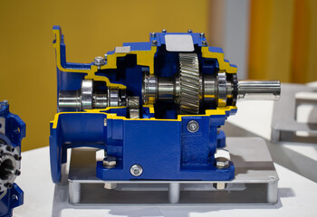 Cut-away show cross section internal part of helical bevel gear reducers. Industrial gearbox