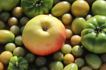 Unreife Tomaten, die mit einem Apfel schneller reifen sollen.
