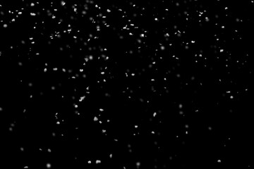 Falling snow on a black isolated background. Snow background. Flying snowflakes.