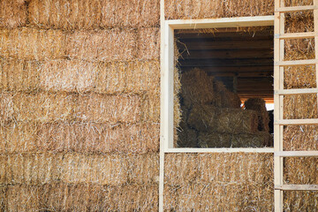 Outside house wall made from straw