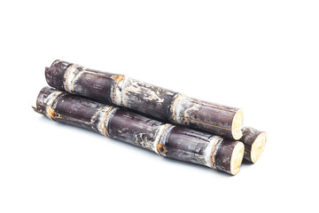 segment Sugar cane isolated on white background