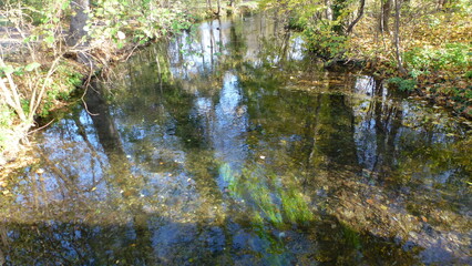 Spiegelungen im Bach