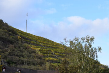 Herbststimmung im Moseltal bei Kobern-Gondorf