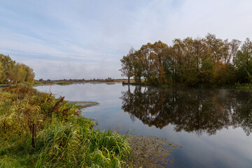 lake and trees