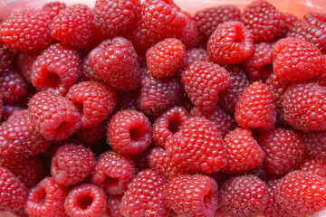 Fresh raspberry
