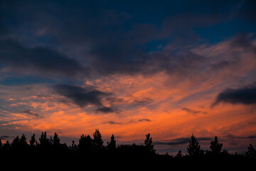 Beautiful sunset in the field. Sunlight turns everything orange.