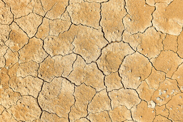background, texture - dry earth with mudcracks